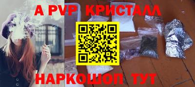 СК Донецк