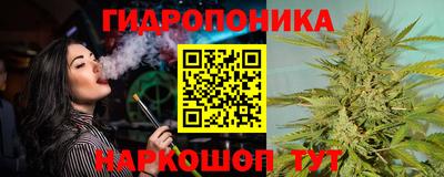 СК Донецк