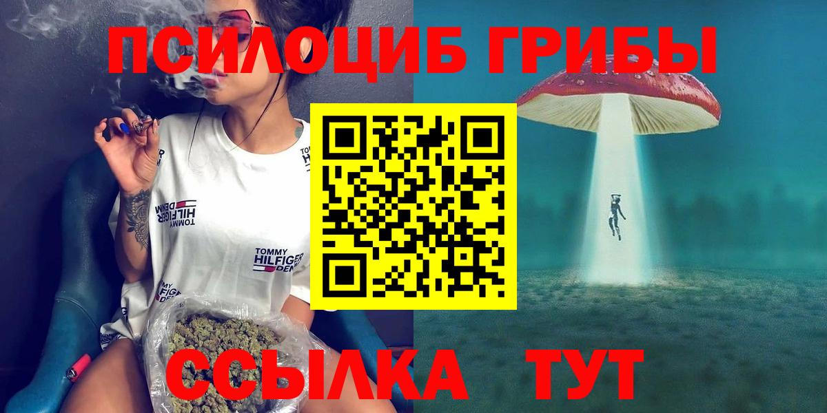 Каменка  купить  сайты  Вход с VPN  Псилоцибиновые грибы Magic Shrooms 